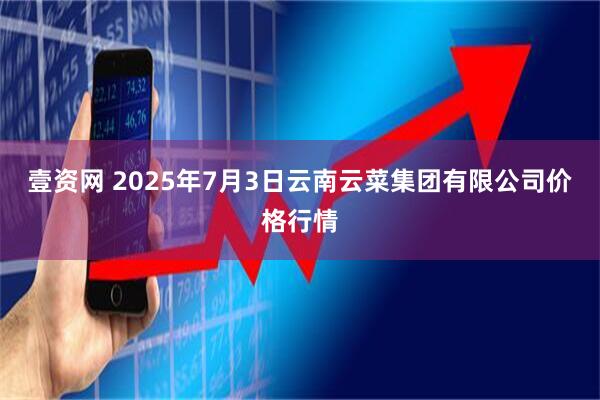 壹资网 2025年7月3日云南云菜集团有限公司价格行情