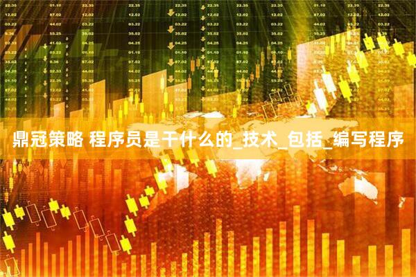 鼎冠策略 程序员是干什么的_技术_包括_编写程序