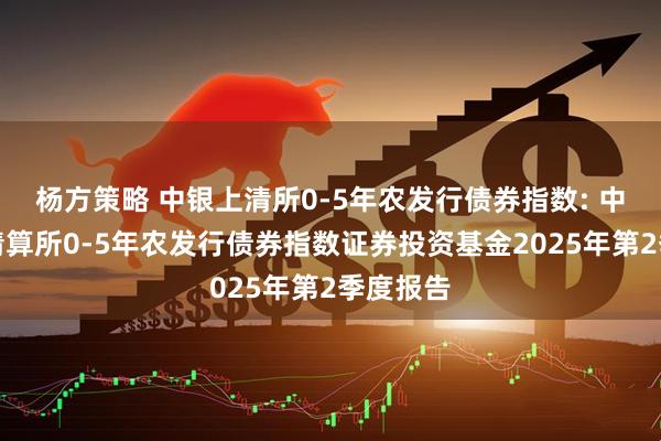 杨方策略 中银上清所0-5年农发行债券指数: 中银上海清算所0-5年农发行债券指数证券投资基金2025年第2季度报告