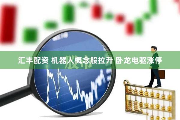 汇丰配资 机器人概念股拉升 卧龙电驱涨停