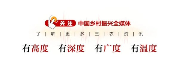 乐红网 农村集体经济经理人“上线”，他们如何“搅热”乡村