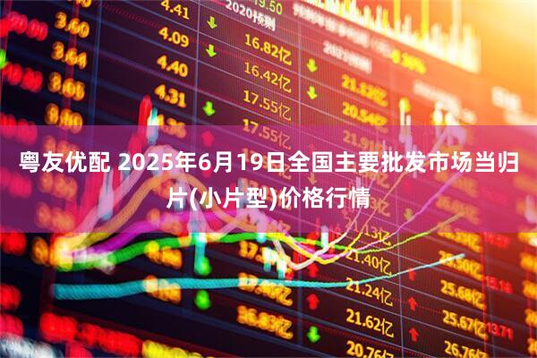 粤友优配 2025年6月19日全国主要批发市场当归片(小片型)价格行情