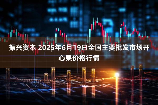 振兴资本 2025年6月19日全国主要批发市场开心果价格行情